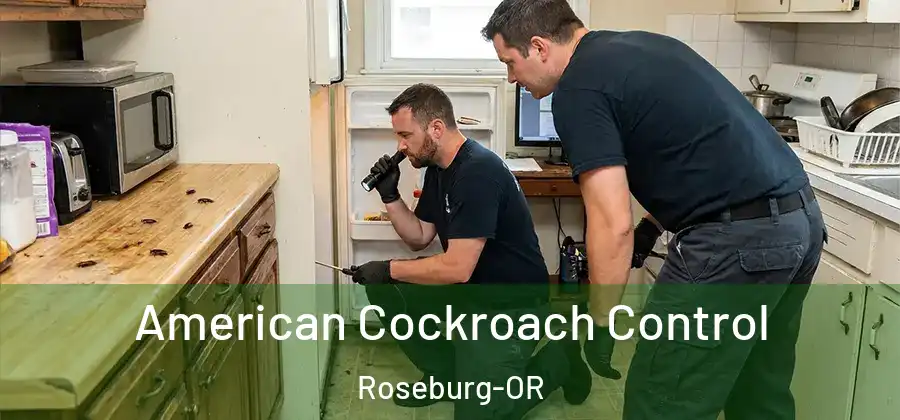 American Cockroach Control Roseburg-OR