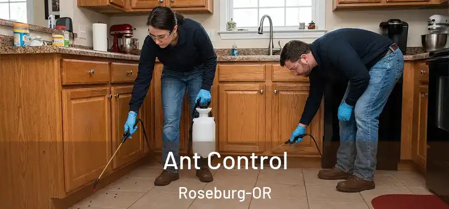 Ant Control Roseburg-OR