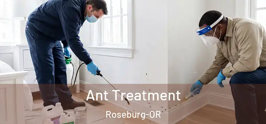 Ant Treatment Roseburg-OR