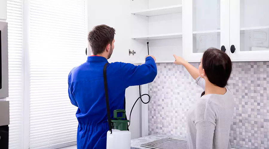 Common Pest Control Mistakes Homeowners Should Avoid