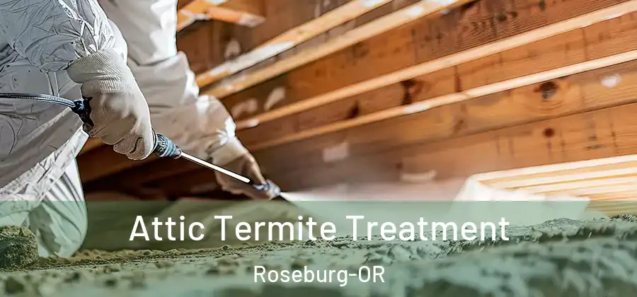  Attic Termite Treatment Roseburg-OR