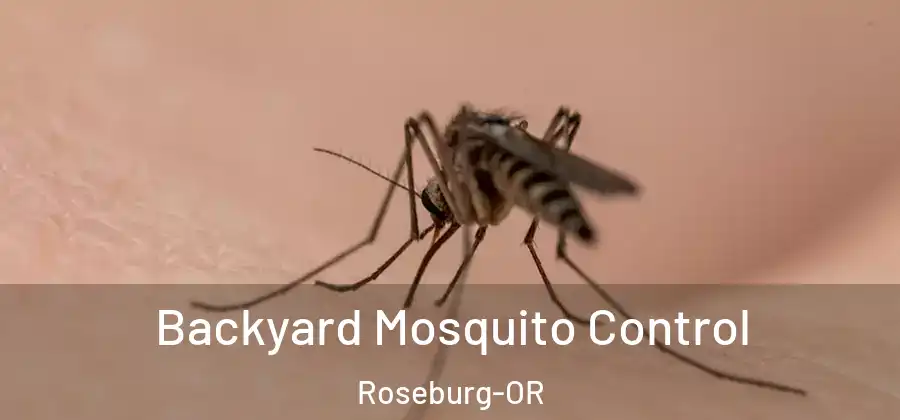 Backyard Mosquito Control Roseburg-OR