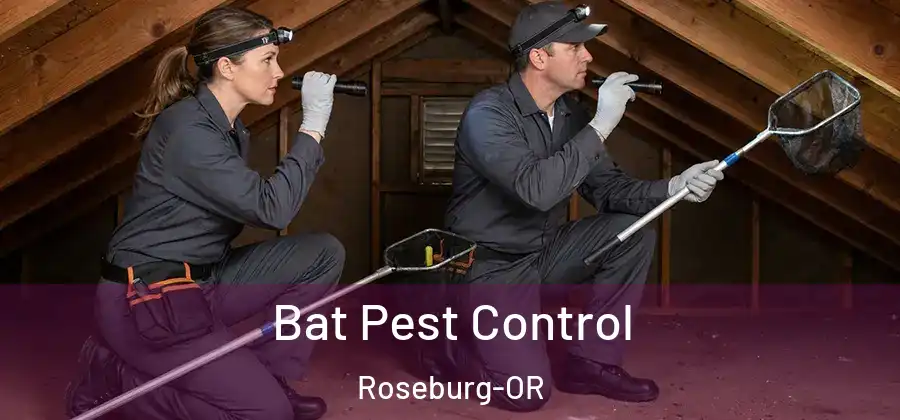  Bat Pest Control Roseburg-OR