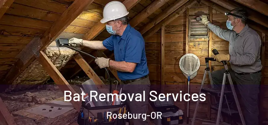 Bat Removal Services Roseburg-OR