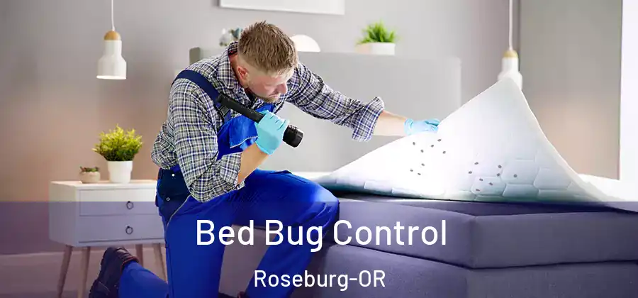  Bed Bug Control Roseburg-OR