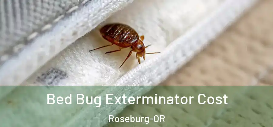 Bed Bug Exterminator Cost Roseburg-OR