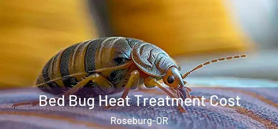Bed Bug Heat Treatment Cost Roseburg-OR