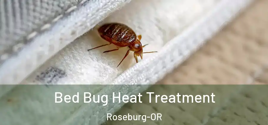 Bed Bug Heat Treatment Roseburg-OR