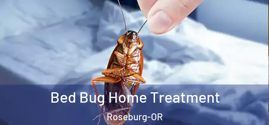 Bed Bug Home Treatment Roseburg-OR