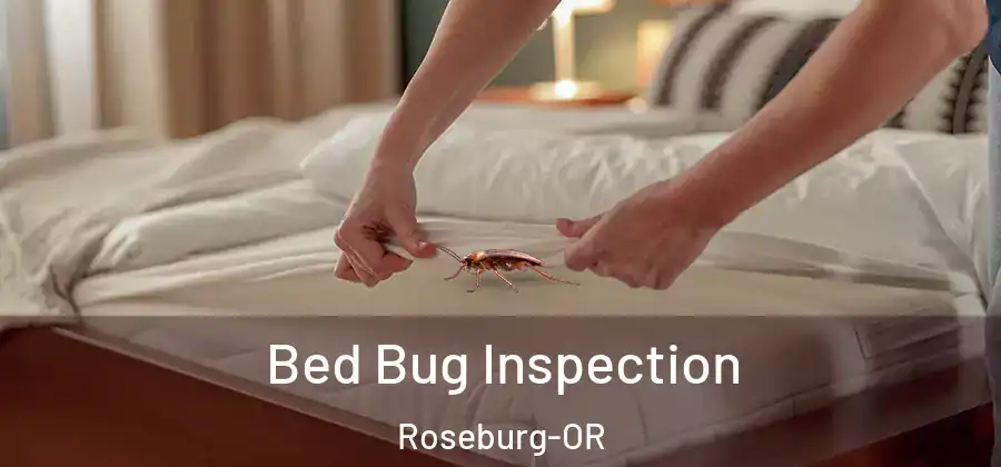 Bed Bug Inspection Roseburg-OR