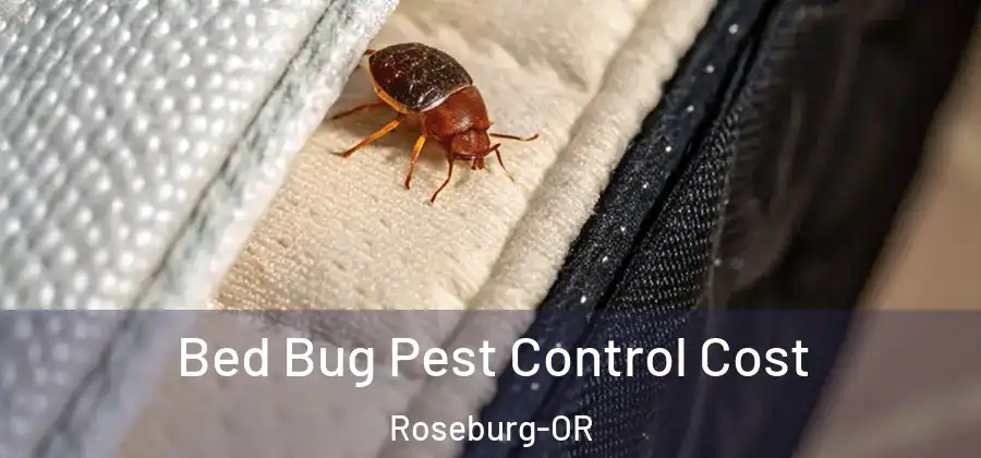 Bed Bug Pest Control Cost Roseburg-OR