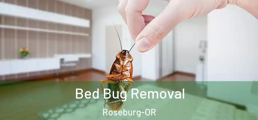 Bed Bug Removal Roseburg-OR