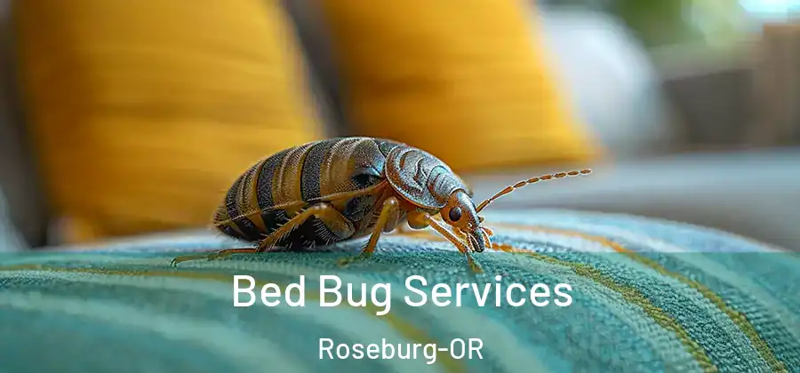  Bed Bug Services Roseburg-OR