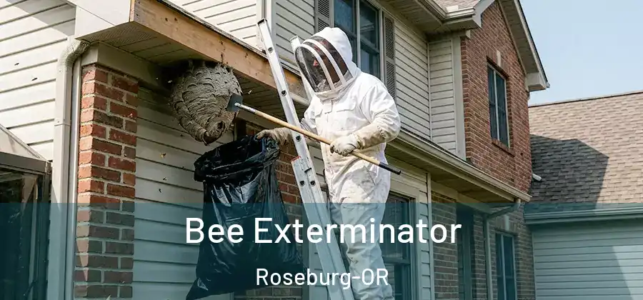 Bee Exterminator Roseburg-OR