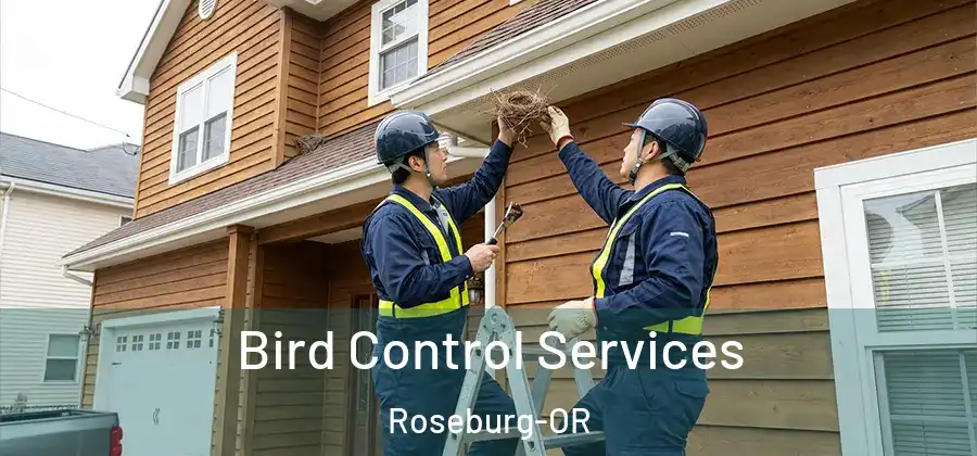 Bird Control Services Roseburg-OR