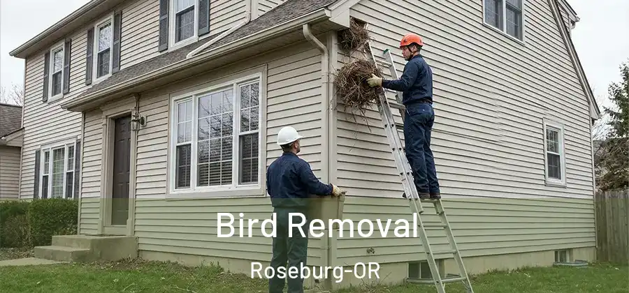 Bird Removal Roseburg-OR