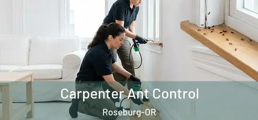 Carpenter Ant Control Roseburg-OR