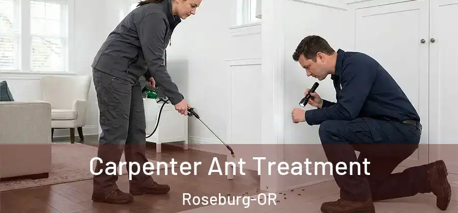 Carpenter Ant Treatment Roseburg-OR