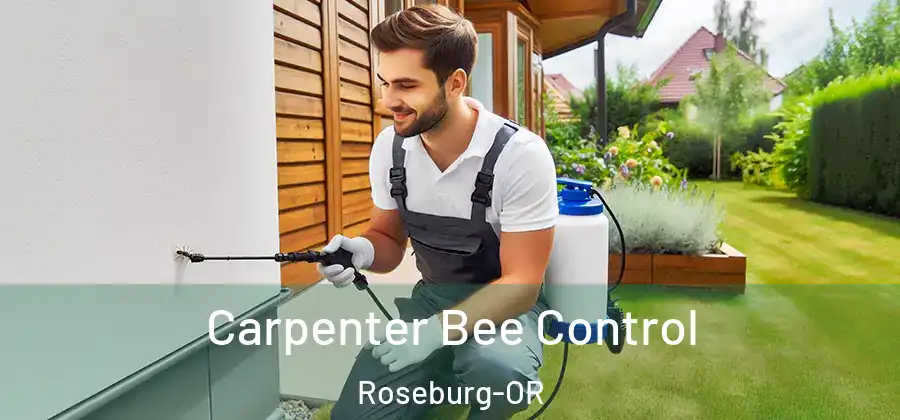 Carpenter Bee Control Roseburg-OR