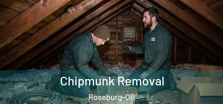 Chipmunk Removal Roseburg-OR