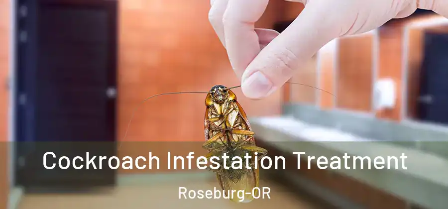Cockroach Infestation Treatment Roseburg-OR