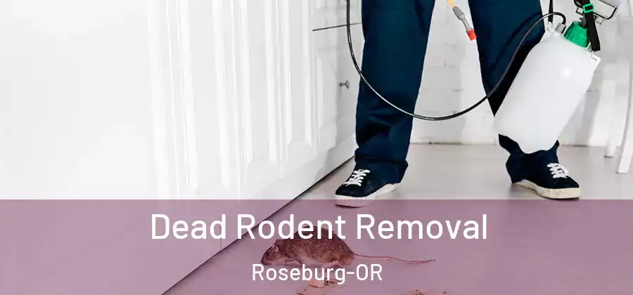  Dead Rodent Removal Roseburg-OR