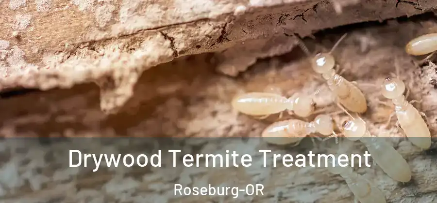 Drywood Termite Treatment Roseburg-OR