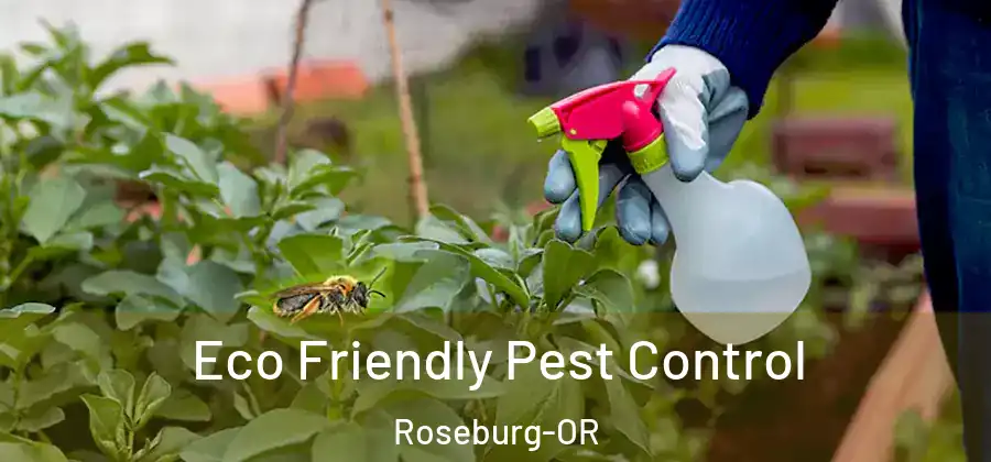 Eco Friendly Pest Control Roseburg-OR
