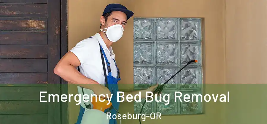  Emergency Bed Bug Removal Roseburg-OR