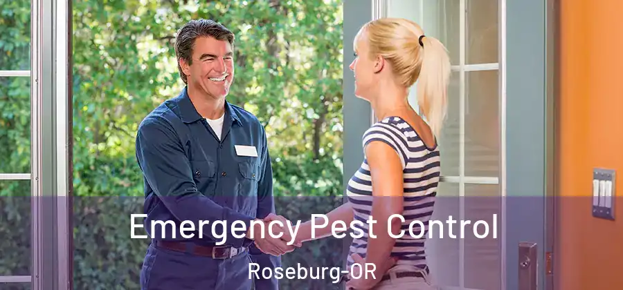 Emergency Pest Control Roseburg-OR