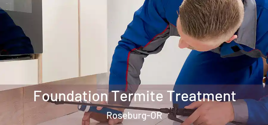 Foundation Termite Treatment Roseburg-OR