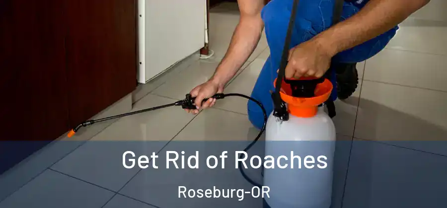 Get Rid of Roaches Roseburg-OR