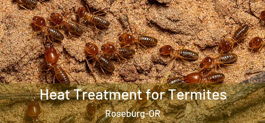 Heat Treatment for Termites Roseburg-OR