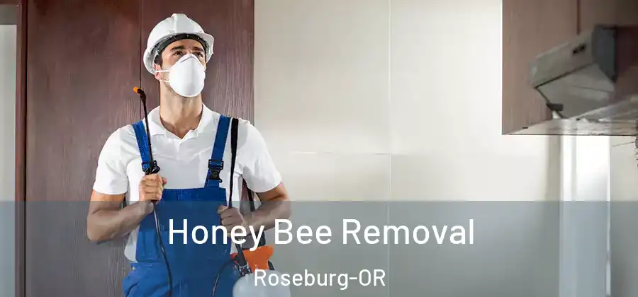 Honey Bee Removal Roseburg-OR