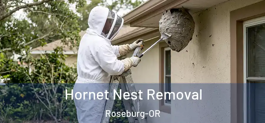 Hornet Nest Removal Roseburg-OR