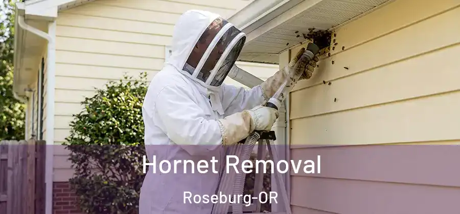 Hornet Removal Roseburg-OR