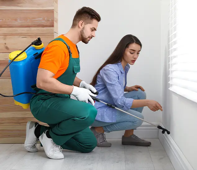 Trusted Affordable Bed Bug Treatment Experts in Roseburg, OR