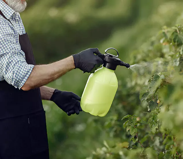 Your Proven Mosquito Treatment Company in Roseburg, OR