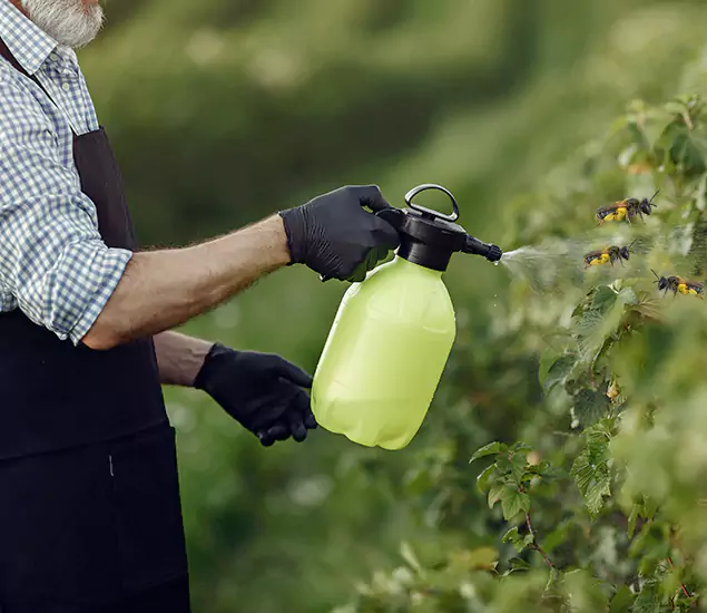 Your Carpenter Bee Service in Roseburg, OR