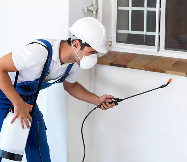 Your Professional Cockroach Exterminator in Roseburg, OR