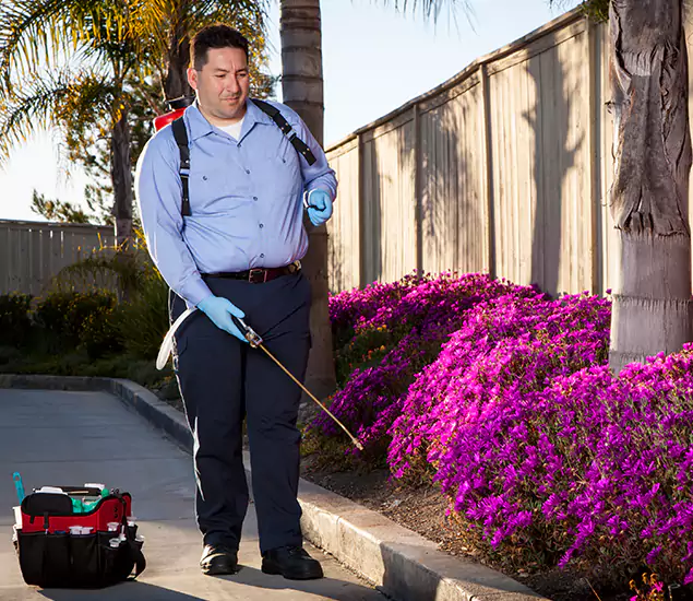 About Our Eco Safe Pest Control Experts in Roseburg, OR