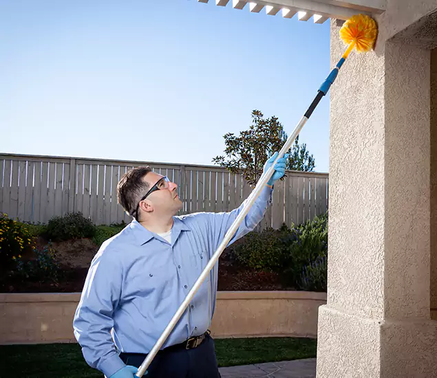 Trusted Experts in Roseburg OR for Formosan Termite Treatment and Black Termite Control