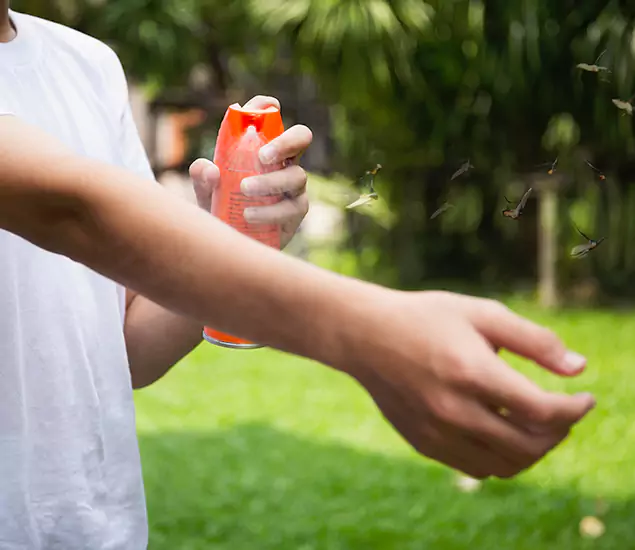 Your Best Indoor Bug Killer Team in Roseburg, OR
