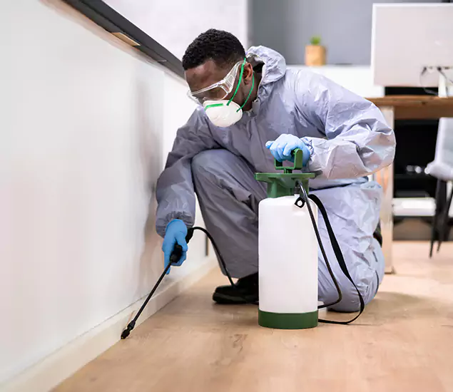 Leading Industrial Pest Control Experts Serving Roseburg, OR
