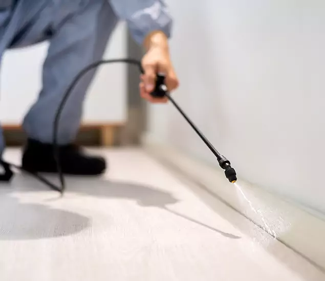 About Our Liquid Termite Treatment Experts in Roseburg, OR