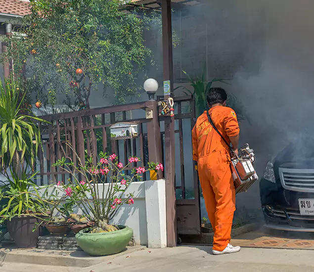 Your Proven Mosquito Fogging Company in Roseburg, OR
