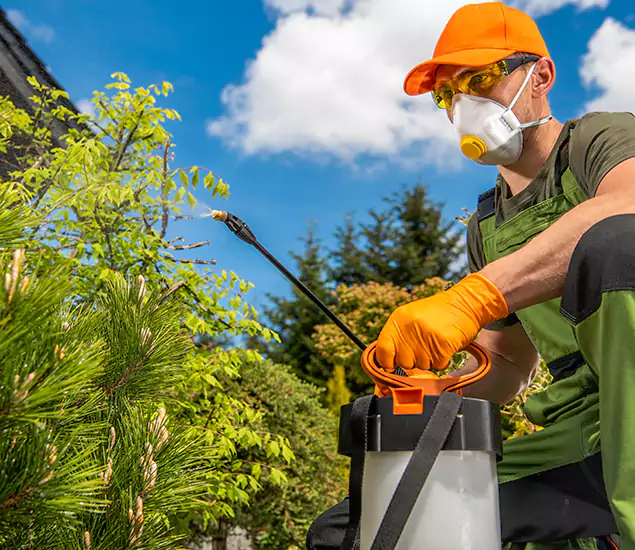 Your Best Bug Spray for Home Team in Roseburg, OR