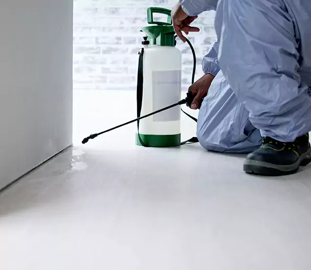 Affordable Pest Control Experts in Roseburg, OR