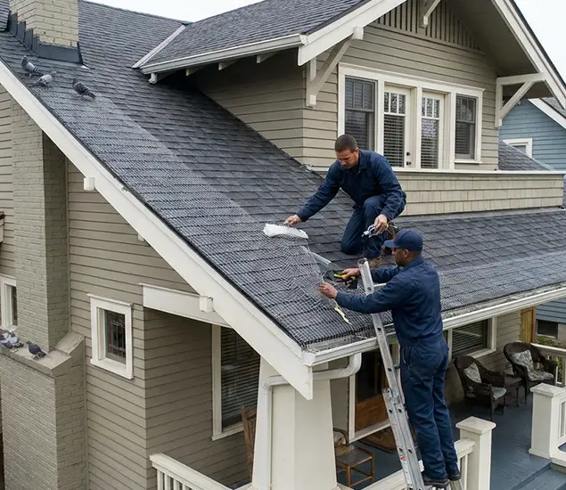Your Pigeon Control Experts in Roseburg, OR
