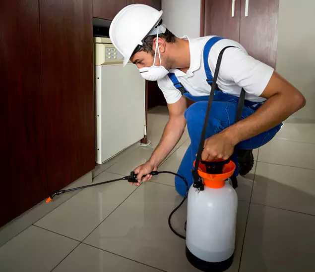 Advanced Termite Pre Treatment Experts in Roseburg, OR